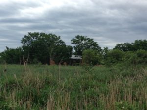 A typical Nivacle set-up. They have bigger plots of land and brickish style of houses. I wasn't able to take a close-up.