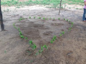 A cute heart she planted. 