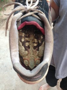 Siiiiick! Thankfullly, not my shoe. But even worse? It peed in there...I kept my shoes inside...Haha!